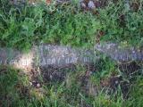 image of grave number 833543